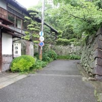 中津城 豊前　絵図を参照して門跡を見学する　東海古城研究会の見学会で訪れました