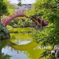 夏越の大祓「亀戸天神」