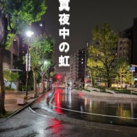 小説書きました　「真夜中の虹」　単身赴任751日目