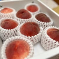今年もいただきました！ありがとうございます！