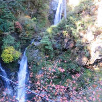 兵庫の紅葉