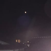 月明かり