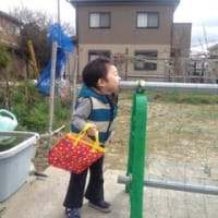 マイバッグ