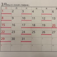 2026年坂根医院の日程表