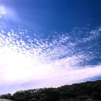 梅雨の晴れ間に、 ひつじ雲とそれによる鮮やかな彩雲（６月）