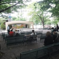 花フェスタ札幌2025を覗いてみた　