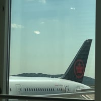 ブログのお引越し