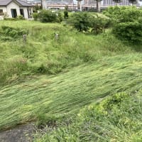 6月1日　清水沼～小松島～旭ヶ丘～宮町～原町ツーリング