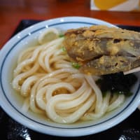 こがね製麺所高知一宮店へ行きたくて