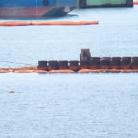 ７月４日の辺野古側埋め立て工区と大浦湾の様子／新ゲートからの資材搬入は無し