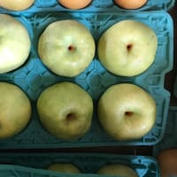 かほり収穫中&注文受け付けております