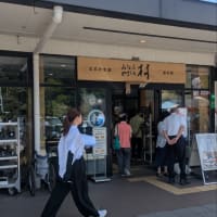 バス大集合！