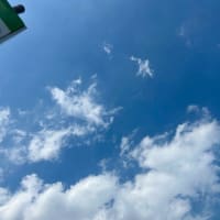ランチタイム・胡瓜のサンドイッチ& 100%すいかジュース,玄関と裏庭の手入れ &ご近所のお掃除当番皆が自発的に・・・　〜♪