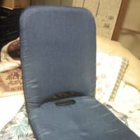 座椅子買いました～！