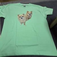 これって絶対着れないじゃん！