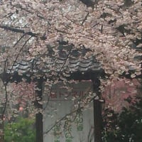 バス旅行.。o○