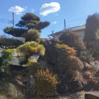 2025/01/28 今日の仕事は