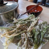 山菜の天ぷらとお蕎麦ランチ