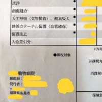 たった2時間のウチの子