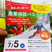 5月29日　今日の畑