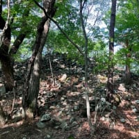  天狗山〜八王子山〜法泉寺山