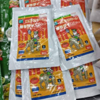 Ｊのある風景「湘南グルメ編７（勝ちタイカレー）」