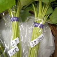 山菜販売中（国道413号）～ふき・竹の子・茹で竹の子・わらび・米ぬかなど