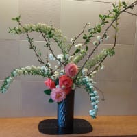 4月に咲く椿と木瓜と...d(ﾟ∀ﾟd)