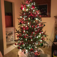 ニューヨーク近郊　＠　コロナ疎開フロリダ編　去年（２０２０年）のクリスマスツリー