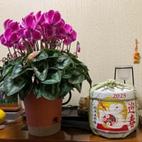大晦日