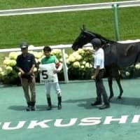 今週の出走結果（7/5）シンハライトの仔アランカールが見事新馬勝ち！！