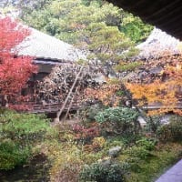 秋の京都を和服で歩こう