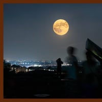 ７月７日（月）　　アビリティ展回顧
