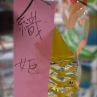 ラッキーセブンの七夕です