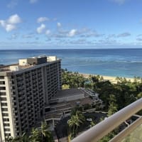 家族でハワイ旅行に行ってきました（その6・帰国・お土産・その他）