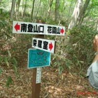 花園山ハイキング