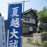 夏越の大祓・・・廣島護国神社さんに参拝に行ってきました　茅の輪くぐり、大祓の人形・・・夏を乗り越えたいですね