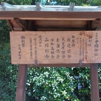 本日は藤井寺の隣にある辛国神社（からくにじんじゃ）へ。おみくじは22番吉。