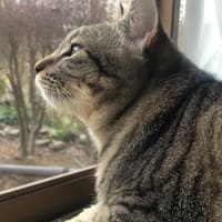 なかなかやるね〜！