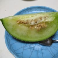 質素に少量-今日も元気----羽根つき餃子、一刻堂のラーメン、ブドウ、豚肉の生姜焼き、ホッケの塩焼き、メロン