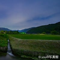 ホタル