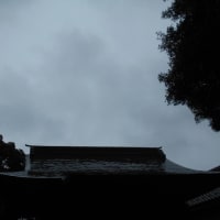 関東甲信地方と北陸地方も梅雨入り…（￣。￣）　歩道のお花達…