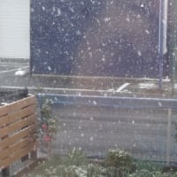 春、なのに～