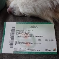 劇団四季・・・赤毛のアン・・・