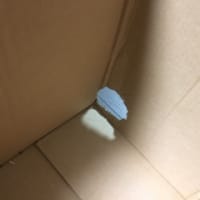 ダンボールの穴