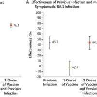 ワクチン vs 感染　その後のコロナ感染の予防効果は