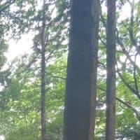つまびらかにしないつもり？