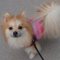 俺の右前に立つな