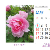 ◎★☆４月の花：2006～2021～まとめ