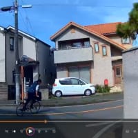混乱する手信号